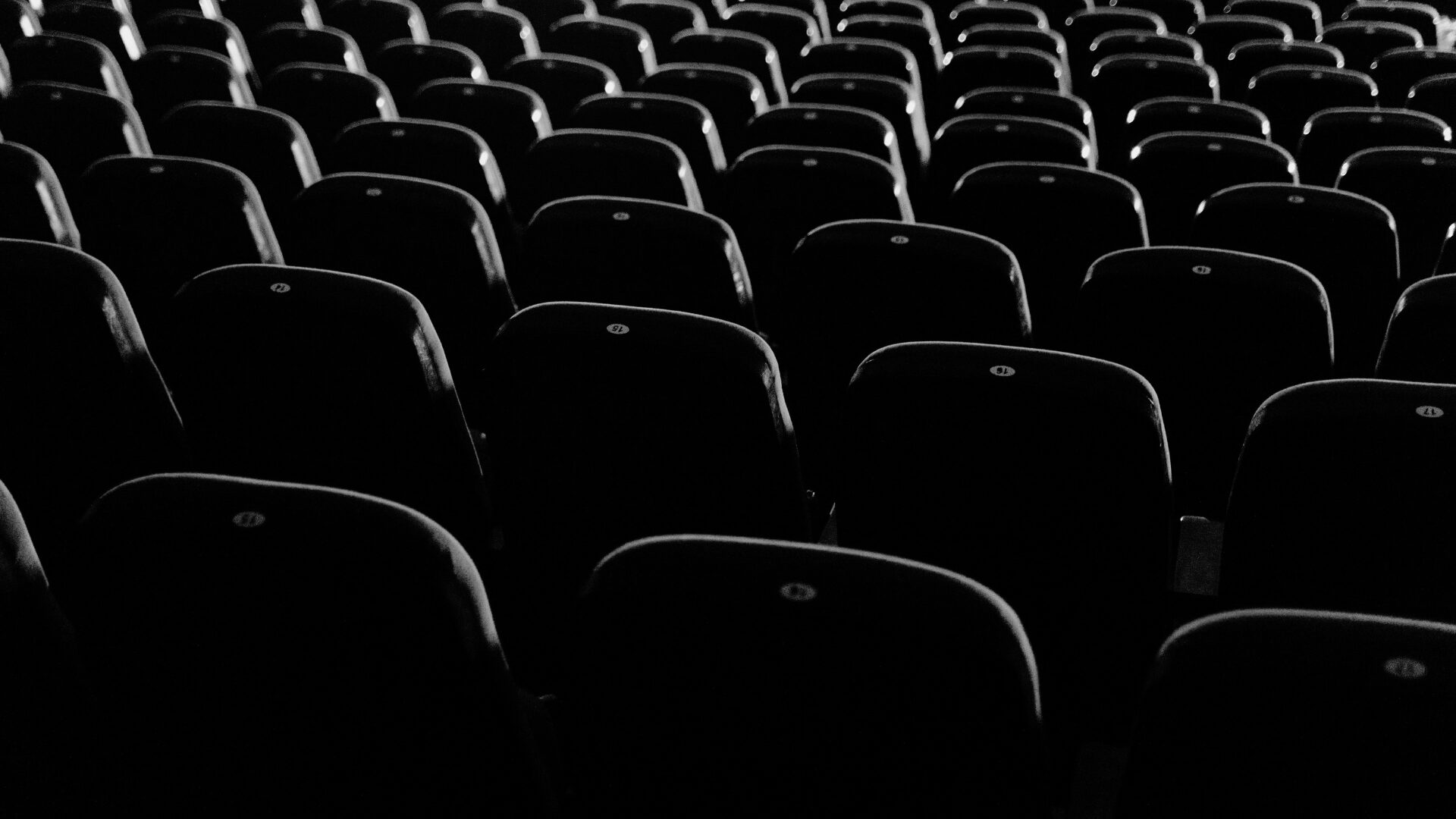 A packed venue during a show