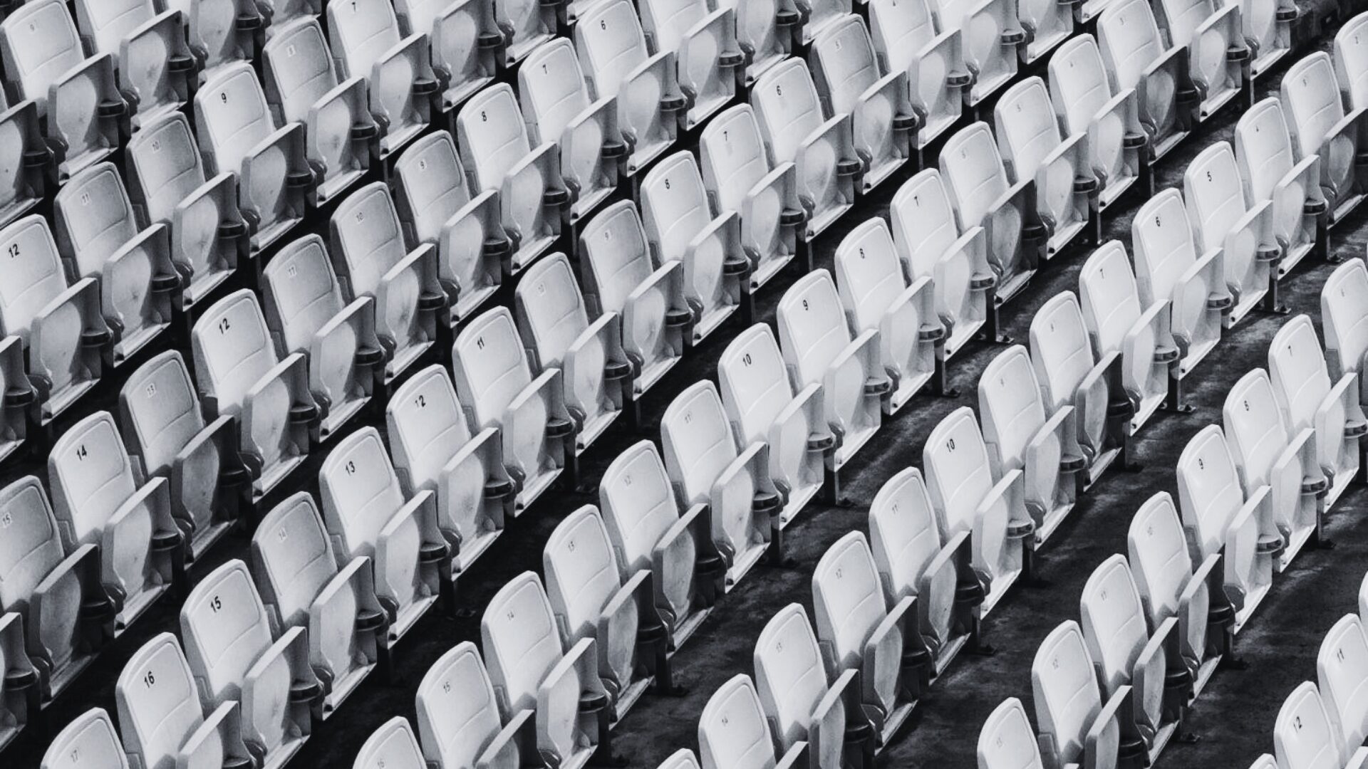 A full arena during a show